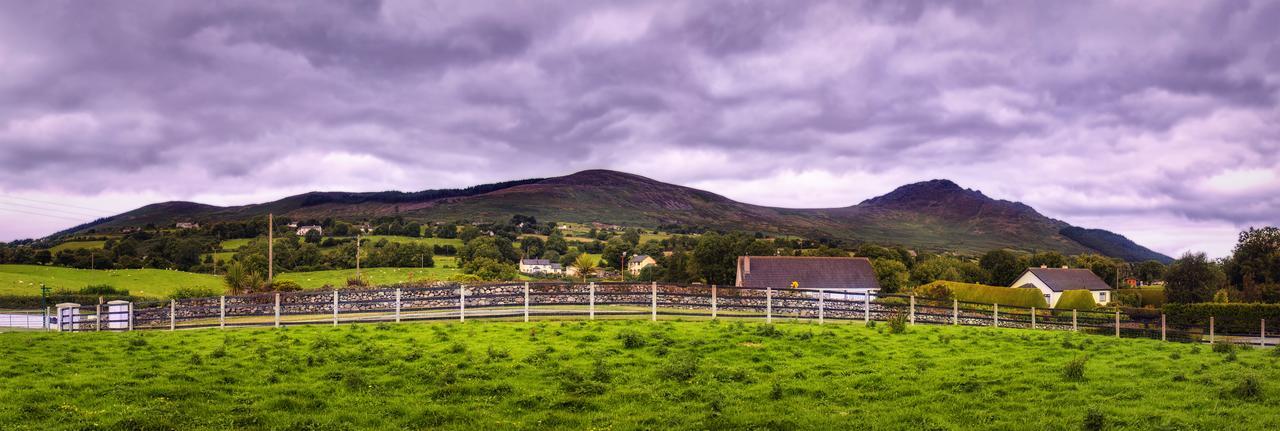 Walkers Nest Bed and Breakfast Carlingford Exteriör bild